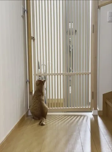 【東松山　愛猫　脱走防止　柵　扉】にゃんガード設置しました